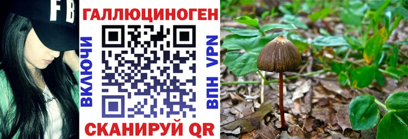 Галлюциногенные грибы Magic Shrooms  Купить  Нытва 